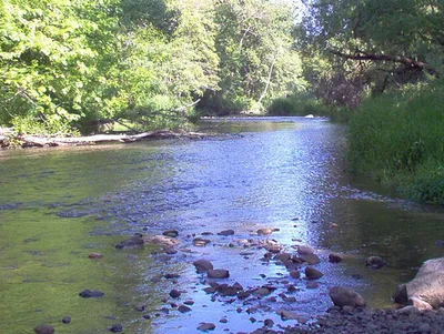 Phoenix Group Seeks Recognition for Creek Revealed by Wildfire