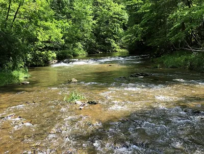 Proposal to Revitalize the Bear Creek Greenway