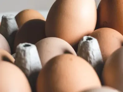 Local Farmer Offers Alternative Amid Egg Shortages