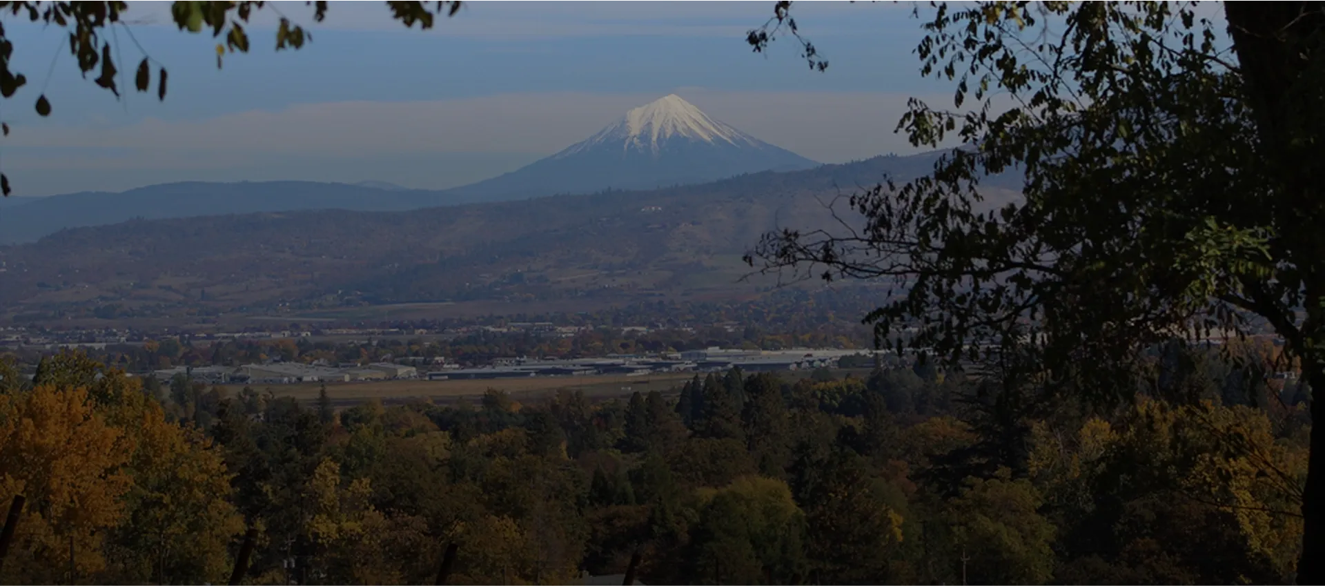 Rogue Valley Pulse
